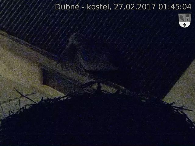 Capi_Dubne_20170227_014504.jpg (1440 x 1080)