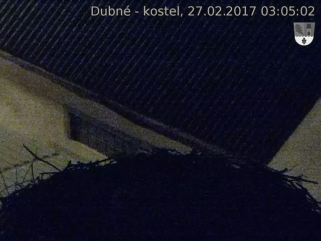 Capi_Dubne_20170227_030502.jpg (1440 x 1080)