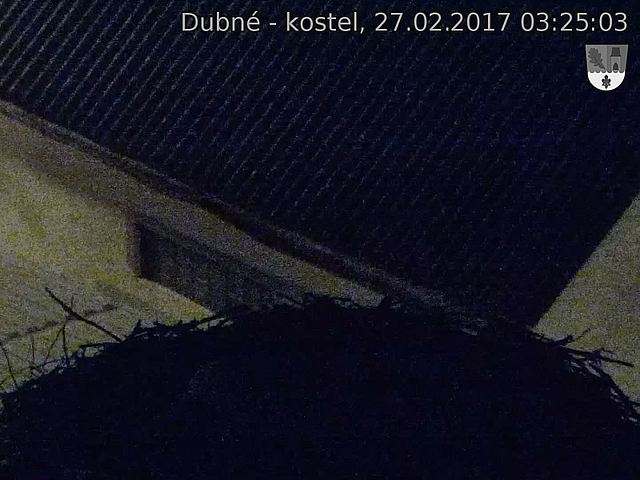 Capi_Dubne_20170227_032503.jpg (1440 x 1080)