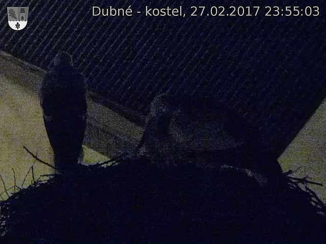 Capi_Dubne_20170227_235503.jpg (1440 x 1080)