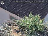 Capi_Dubne_20170815_181504.jpg