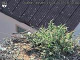 Capi_Dubne_20170815_183004.jpg