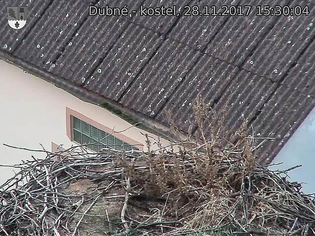Capi_Dubne_20171128_153004.jpg (1440 x 1080)