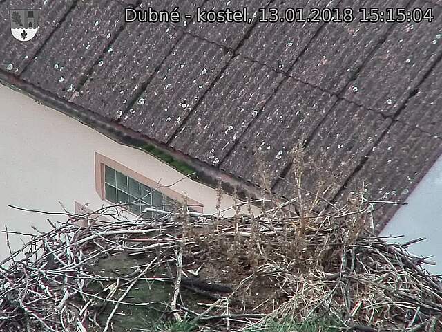 Capi_Dubne_20180113_151504.jpg (1440 x 1080)