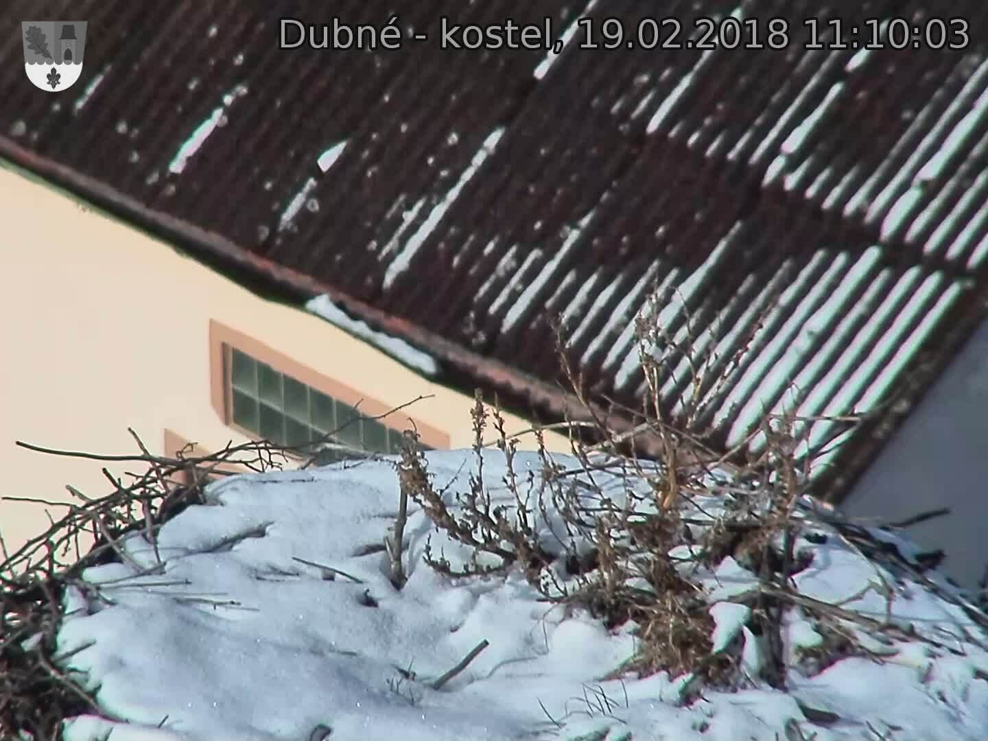 Capi_Dubne_20180219_111003.jpg (1440 x 1080)