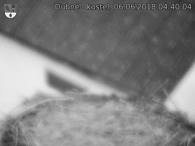 Capi_Dubne_20180606_044004.jpg (1440 x 1080)