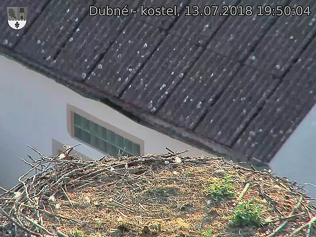 Capi_Dubne_20180713_195004.jpg (1440 x 1080)