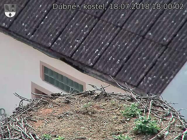Capi_Dubne_20180718_180002.jpg (1440 x 1080)