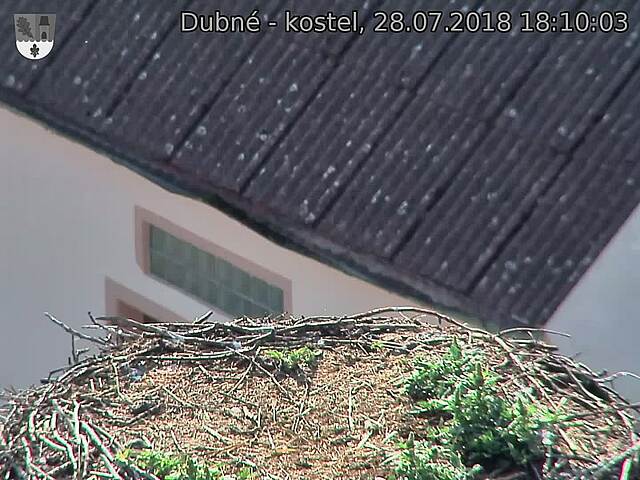 Capi_Dubne_20180728_181003.jpg (1440 x 1080)