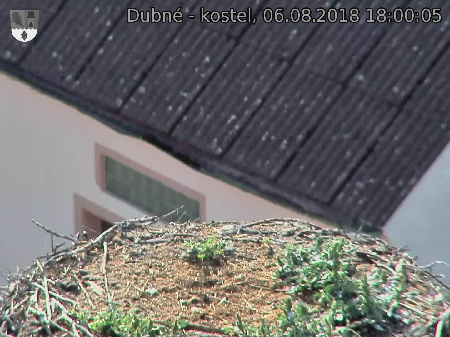 Capi_Dubne_20180806_180005.jpg (1440 x 1080)