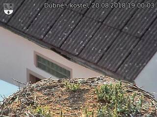 Capi_Dubne_20180820_190003.jpg (1440 x 1080)