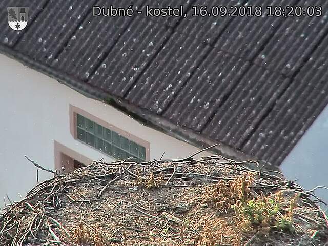 Capi_Dubne_20180916_182003.jpg (1440 x 1080)