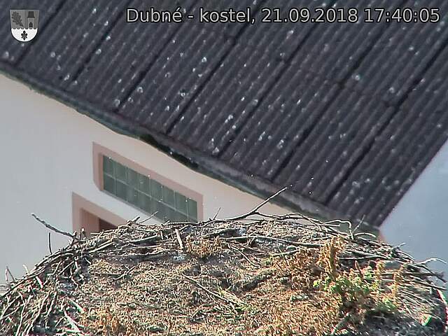 Capi_Dubne_20180921_174005.jpg (1440 x 1080)