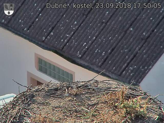 Capi_Dubne_20180923_175005.jpg (1440 x 1080)