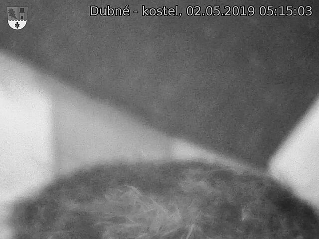 Capi_Dubne_20190502_051503.jpg (1440 x 1080)
