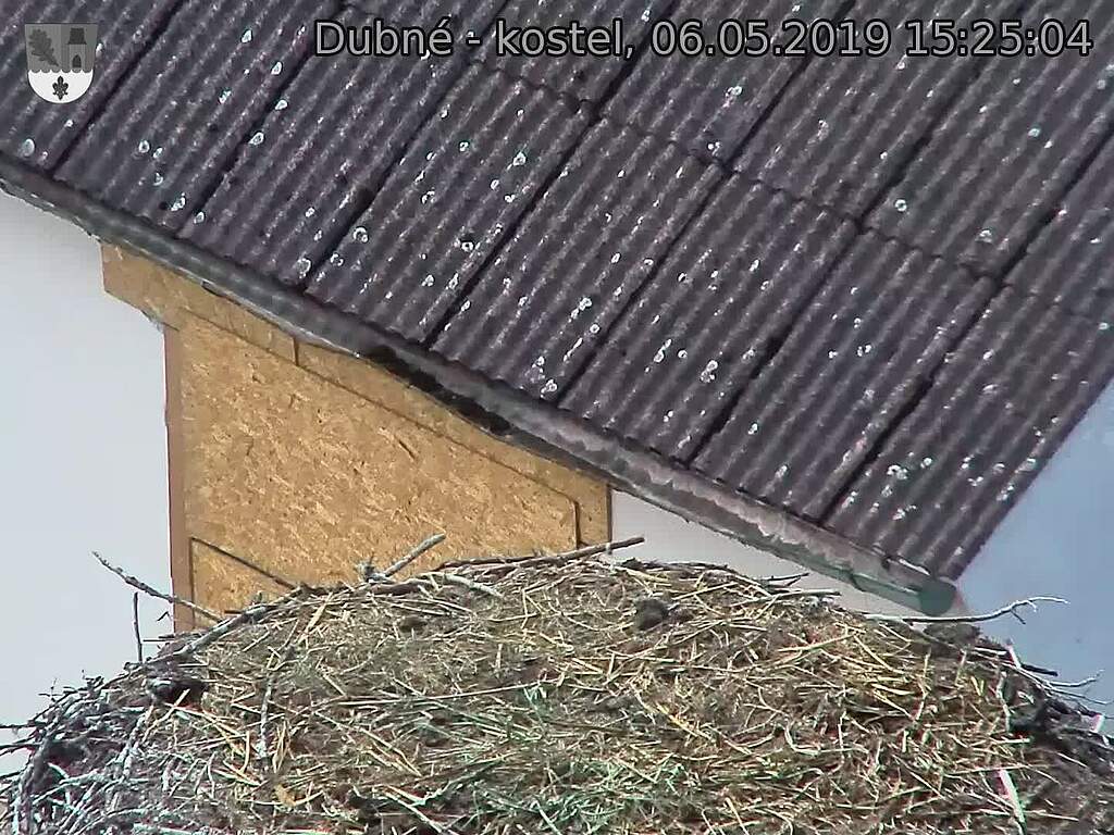 Capi_Dubne_20190506_152504.jpg (1440 x 1080)