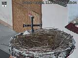 Capi_Dubne_20200411_090504.jpg