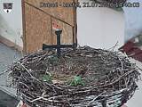 Capi_Dubne_20200721_144003.jpg