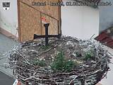 Capi_Dubne_20200802_142004.jpg