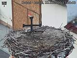 Capi_Dubne_20201022_170003.jpg