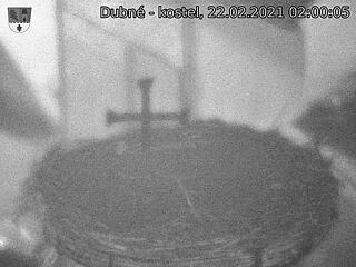 Capi_Dubne_20210222_020005.jpg (1440 x 1080)