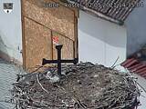 Capi_Dubne_20210502_143504.jpg