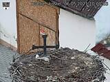 Capi_Dubne_20210506_100003.jpg