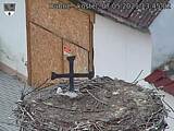 Capi_Dubne_20210507_134502.jpg