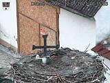 Capi_Dubne_20210512_203503.jpg