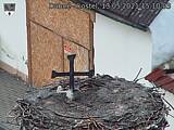 Capi_Dubne_20210513_151003.jpg