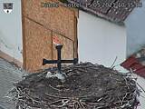 Capi_Dubne_20210515_103503.jpg