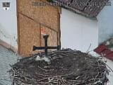 Capi_Dubne_20210515_111002.jpg