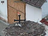 Capi_Dubne_20210515_115503.jpg