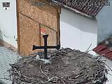 Capi_Dubne_20210518_134002.jpg