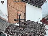 Capi_Dubne_20210714_210505.jpg