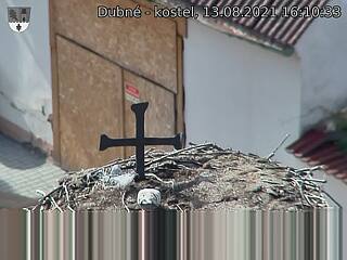 Capi_Dubne_20210813_161033.jpg (1440 x 1080)