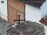 Capi_Dubne_20220123_100005.jpg