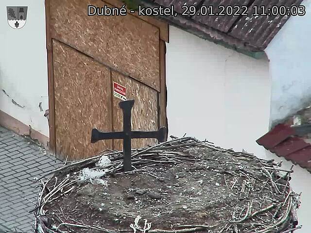 Capi_Dubne_20220129_110003.jpg (1440 x 1080)