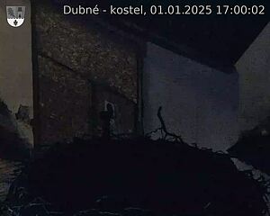 Capi_Dubne_20250101_170002.jpg (1350 x 1080)