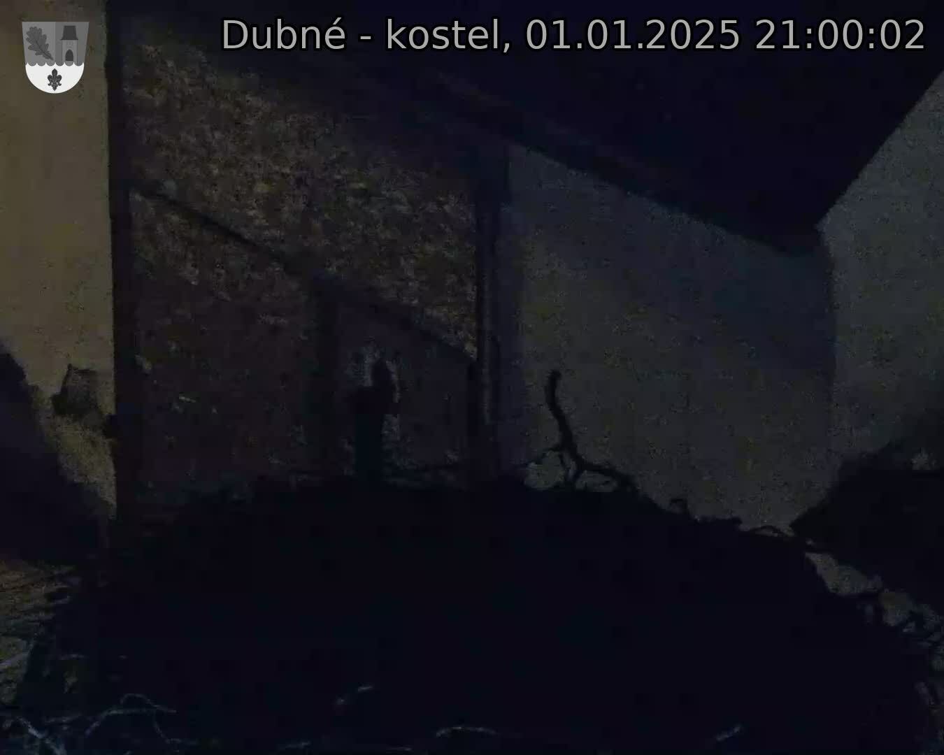 Capi_Dubne_20250101_210002.jpg (1350 x 1080)