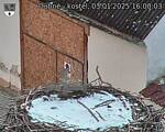 Capi_Dubne_20250103_160003.jpg