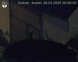 Capi_Dubne_20250104_200003.jpg (1350 x 1080)