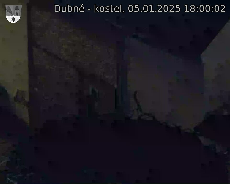 Capi_Dubne_20250105_180002.jpg (1350 x 1080)