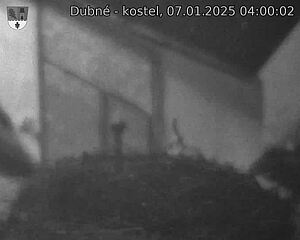 Capi_Dubne_20250107_040002.jpg (1350 x 1080)