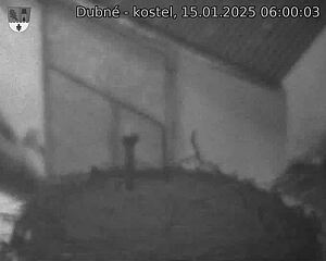 Capi_Dubne_20250115_060003.jpg (1350 x 1080)