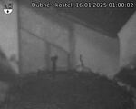 Capi_Dubne_20250116_010002.jpg