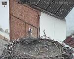 Capi_Dubne_20250121_080003.jpg