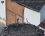 Capi_Dubne_20250123_100004.jpg