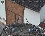 Capi_Dubne_20250123_160004.jpg