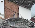 Capi_Dubne_20250124_080003.jpg